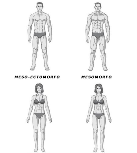 Ectomorfo Endomorfo ou Mesomorfo Descubra o seu tipo físico